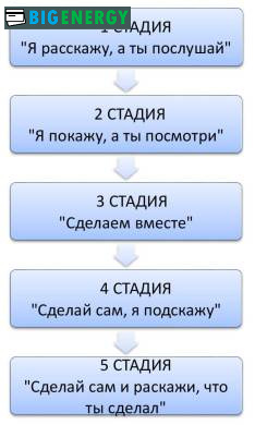 Схема_Наставничество (2)