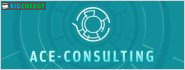 ACE Consulting Company