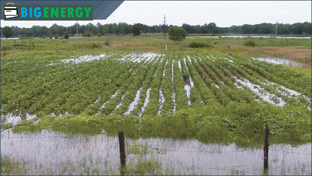 Проблеми при інвестуванні АПК